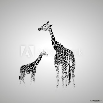 Picture of Giraffe with her baby